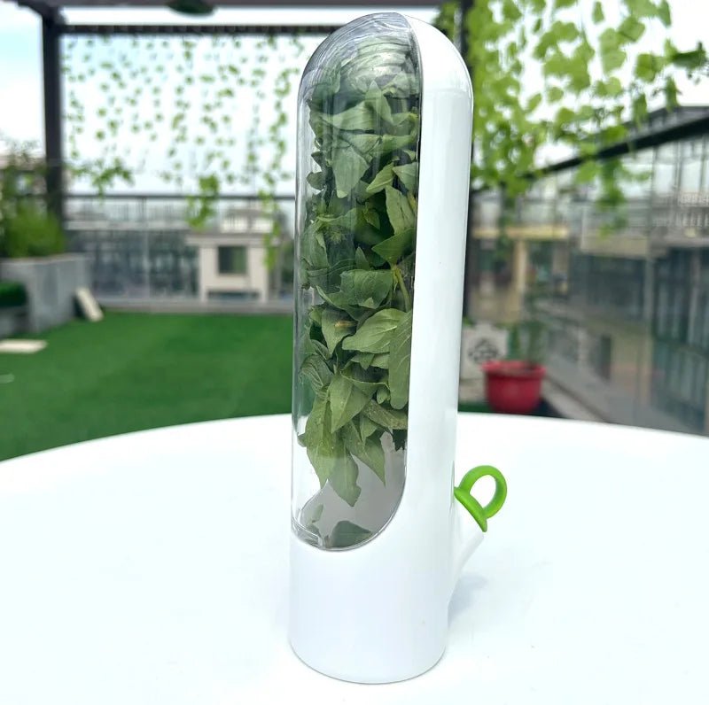 Récipient Conservateur Herbes Aromatiques et Légumes 🌿 | KitchyGoods