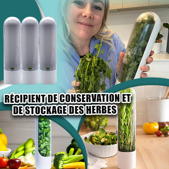 conservation-herbes-aromatiques